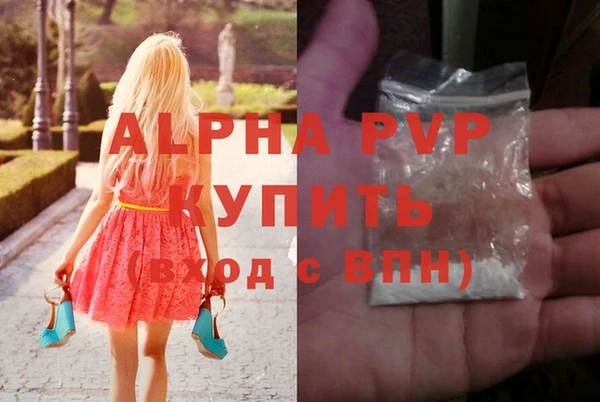 ГАЛЛЮЦИНОГЕННЫЕ ГРИБЫ Бородино